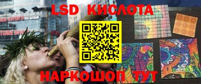 стаф Дмитров