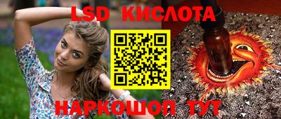 PSILOCYBIN Долгопрудный